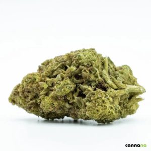 🦍 Gorilla Glue 10-OH 30% ziedi
