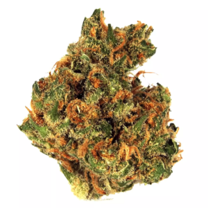 Sala-Sweet Skunk