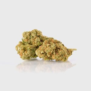 🔥 Amnēzija par 40% lielāka