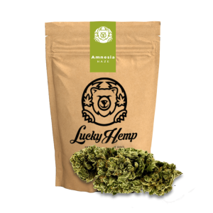 Amnēzija Haze Ökopack