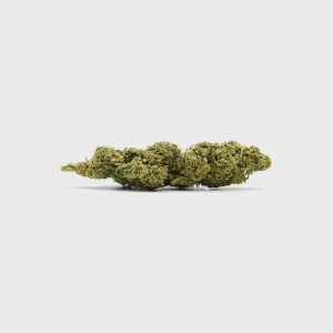 Diesel Dynamite - SATIVA TURBO Ls 5/5
