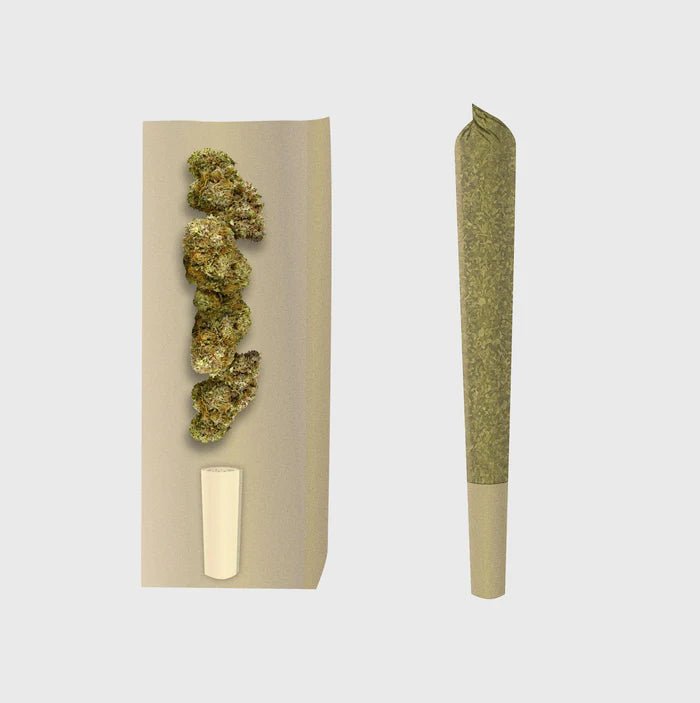 🍦 Gelato Prerolls - JAUDAS LĪMENIS: 4/5