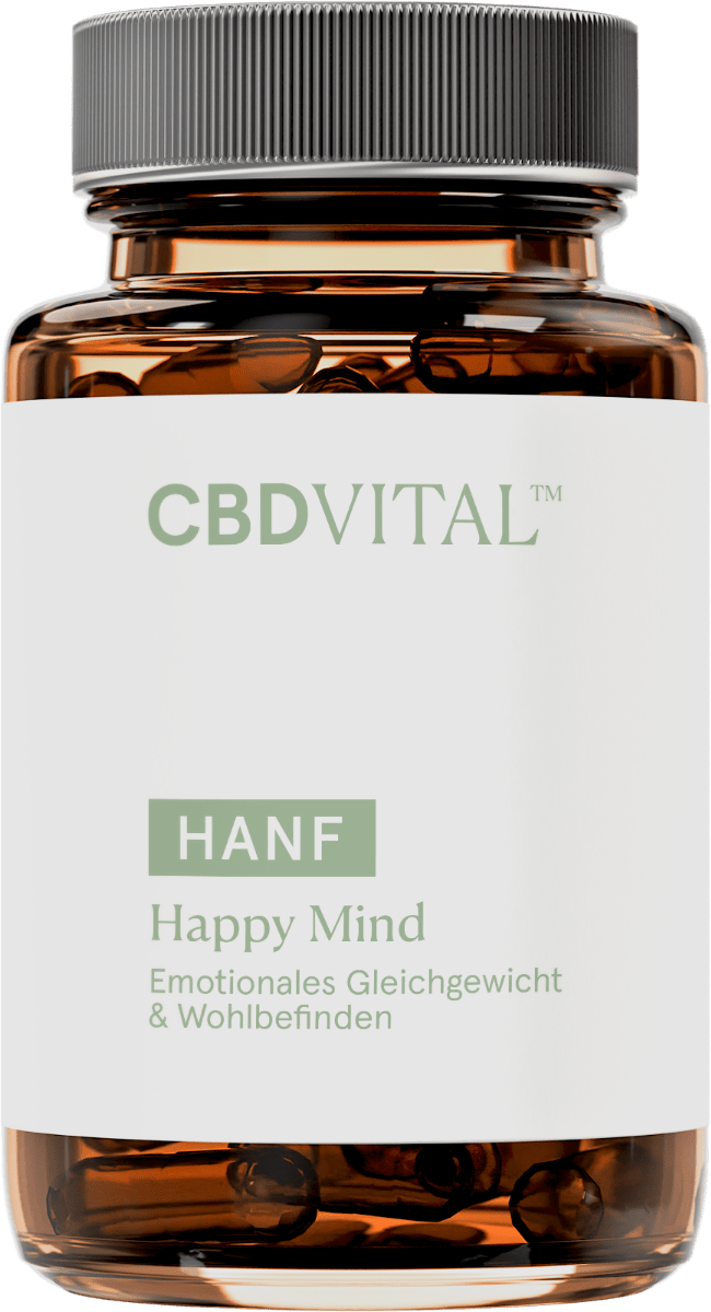 Hanfs Happy Mind