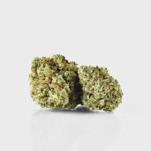 🍍 Pina Paff 20% CBD no Plusmacher
