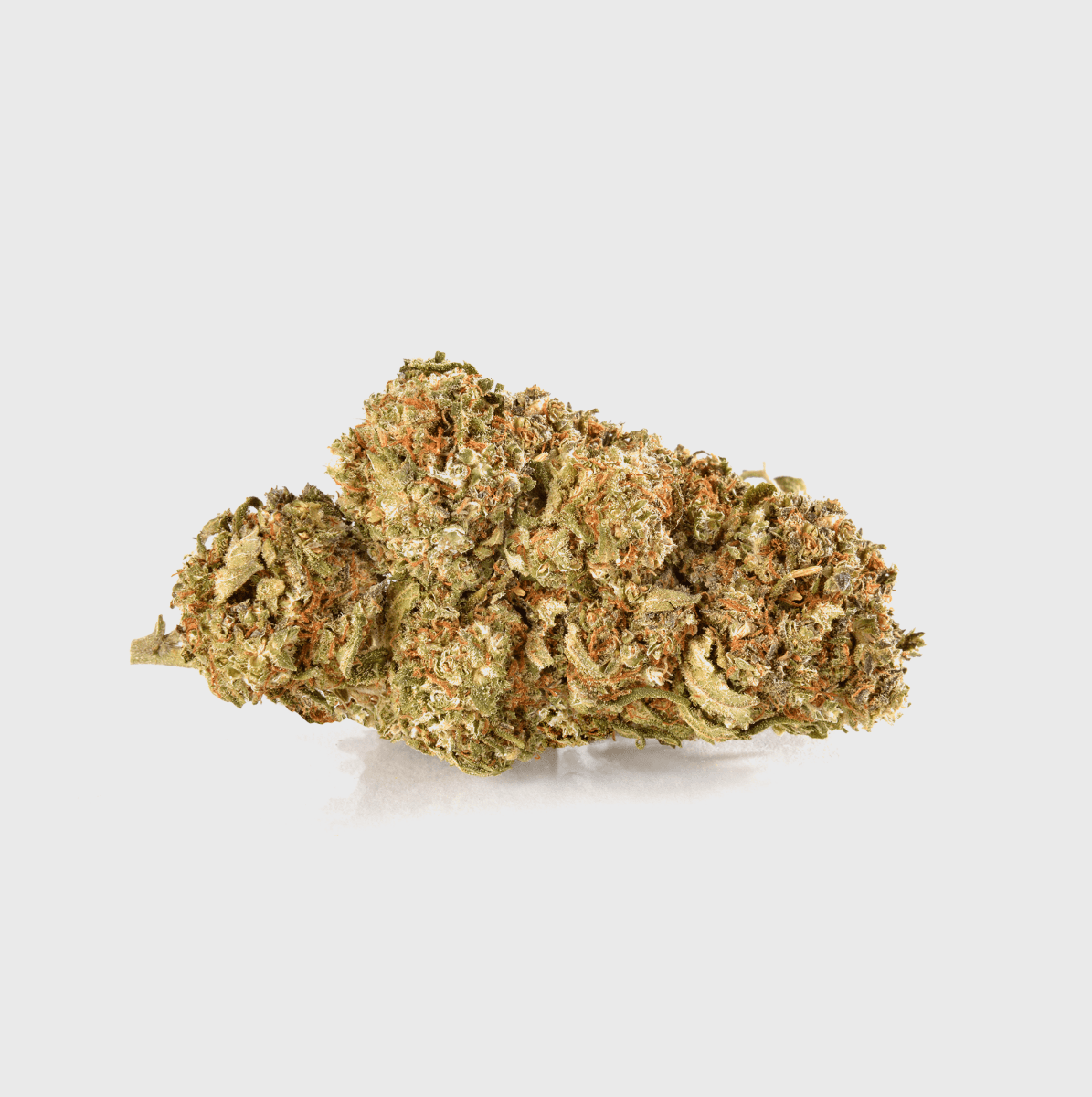 š§š»āāļø Vampire Kush CBD 22%